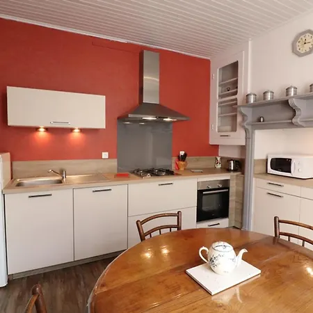 Maison Renovee A Saint-cernin, 4 Chambres, Terrasse, Garage, Proche Volcans Auvergne - Fr-1-742-239 Tatil Evi